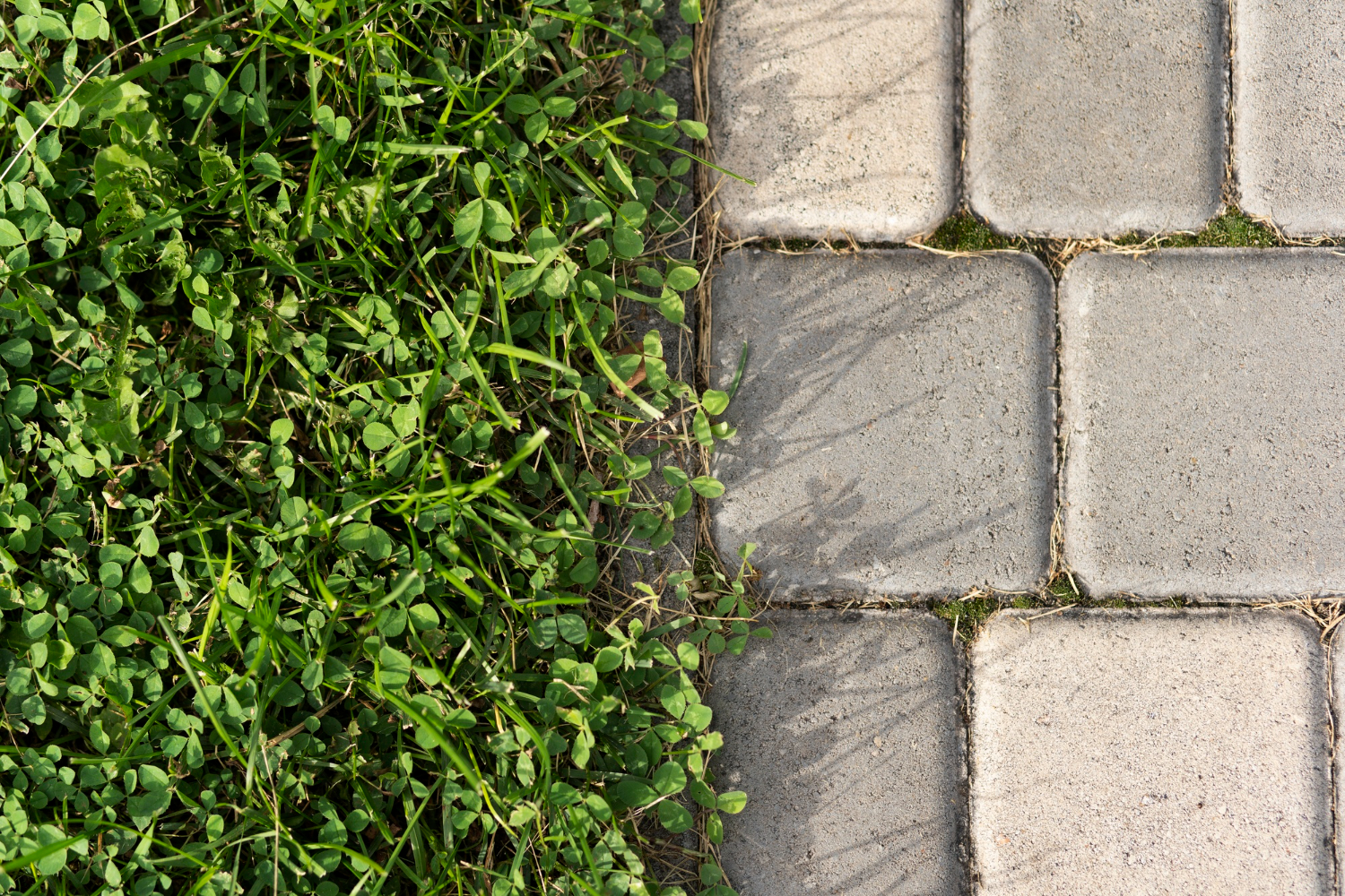 contrasting-outdoor-textures Virginia Paving Experts
