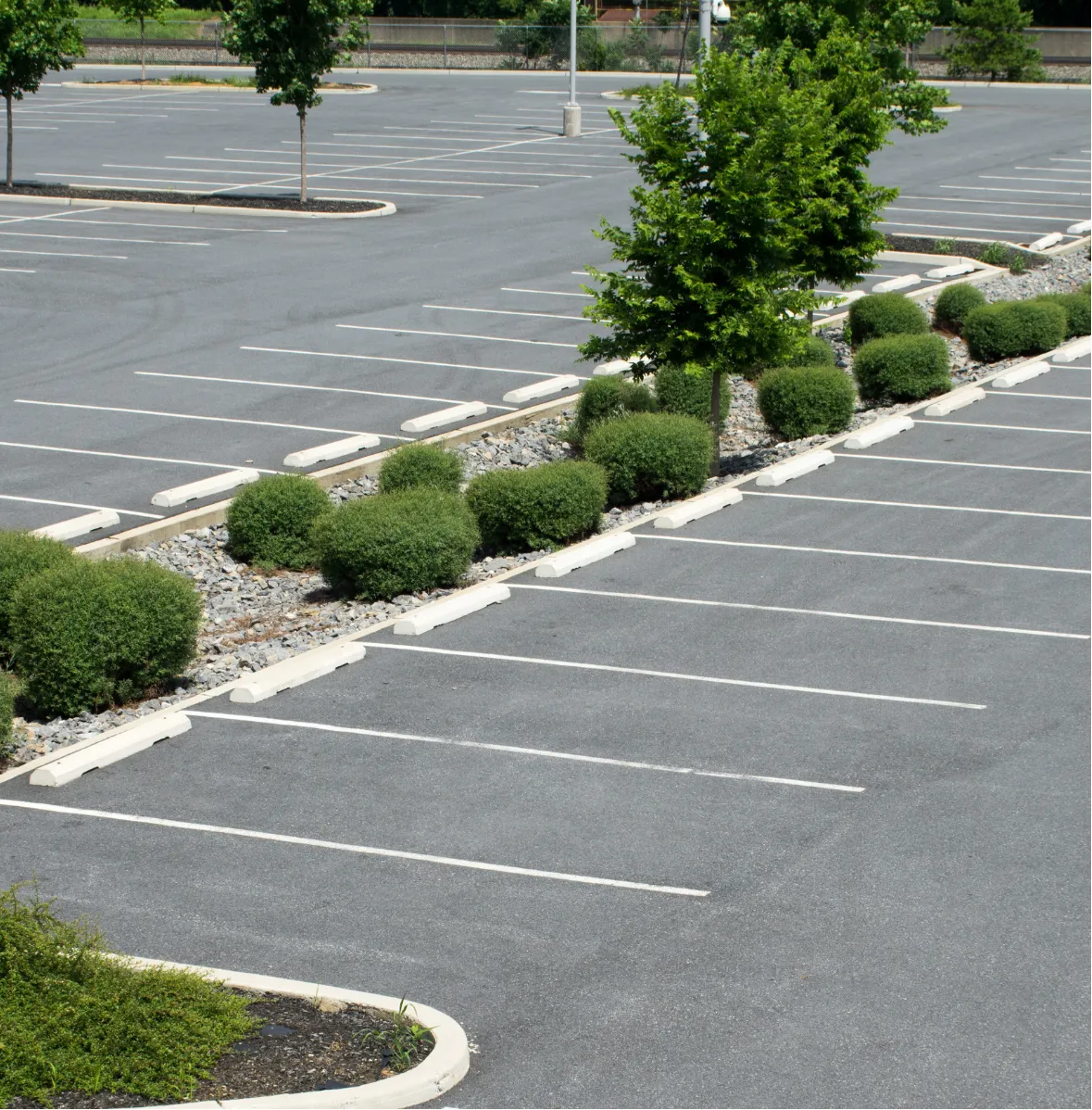 parking-lot-3 Empty parking lot with marked spaces, greenery, and bushes in the center.